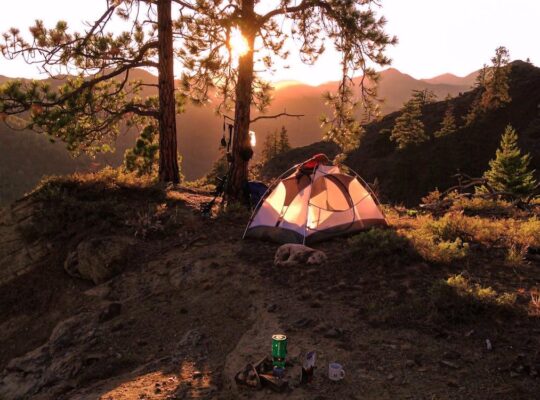 Weekend Forest Camping...