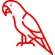 Parrots